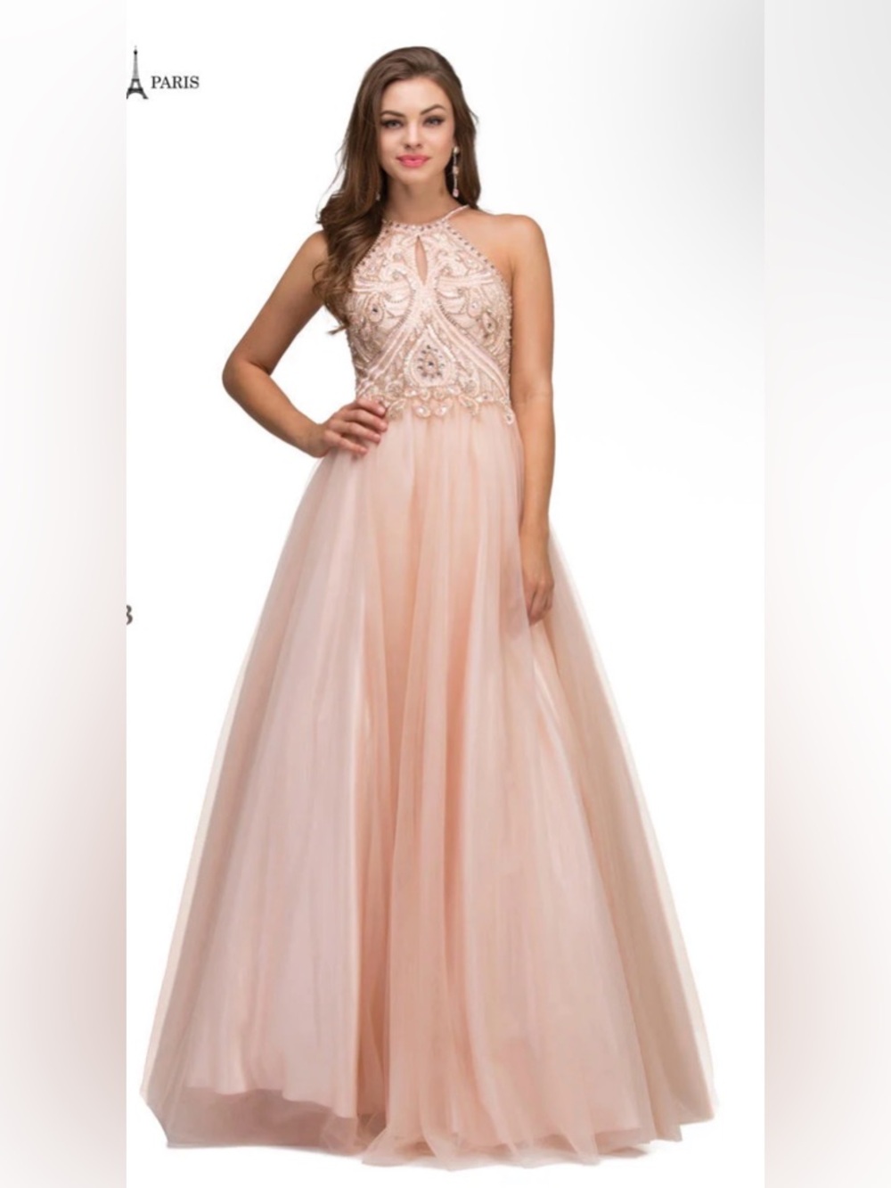 Abby Paris by Lucci Lu Beaded Bodice Gown 95123 Size 4